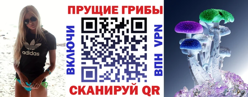 Псилоцибиновые грибы мицелий  это официальный сайт  Аша  OMG вход 